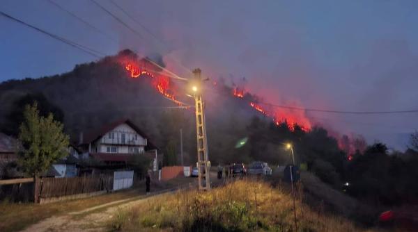 incendiul de vegetatie din valcea provocat de o femeie pagubele sunt uriase