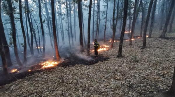 romania prinsa in incendii masive de vegetatie interventii de urgenta cu pompieri elicoptere si avioane paduri si cimitire distruse