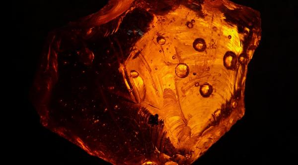 cel mai mare chihlimbar din lume a fost descoperit in romania cum fusese folosit inainte