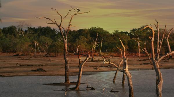 impactul schimbarilor climatice sub lupa franta grecia si spania mobilizeaza resurse pentru a contracara seceta agricola