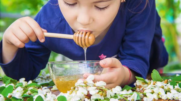mierea romaneasca medaliata cu aur care a ajuns si la vatican poate fi cumparata la festivalul european bio de la ibanesti