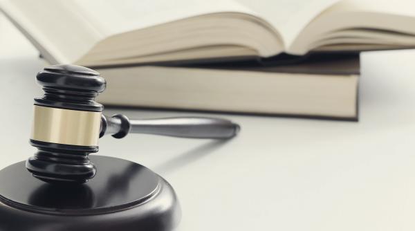 doi pakistanezi condamnati pentru incitare la uciderea lui geert wilders