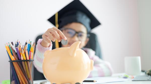 senatul aproba tacit burse sociale pentru elevi pe tot parcursul anului inclusiv vara