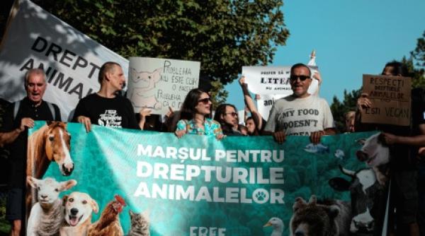 marsul pentru drepturile animalelor 2024 zeci de organizatii pentru protectia animalelor solicita actiuni imediate pentru bunastarea acestora