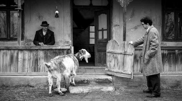 morometii 3 va intra in cinematografe trailer ul oficial