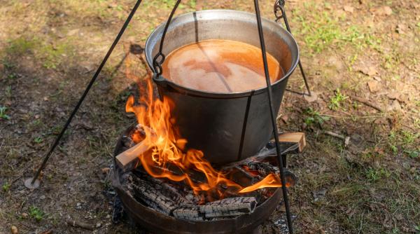 solutia minune prin care poti curata ceaunul ai nevoie de cateva ingrediente