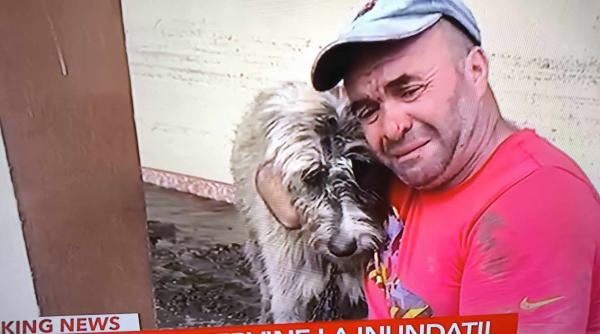 un barbat din galati a izbucnit in lacrimi cand si a gasit cainele in viata