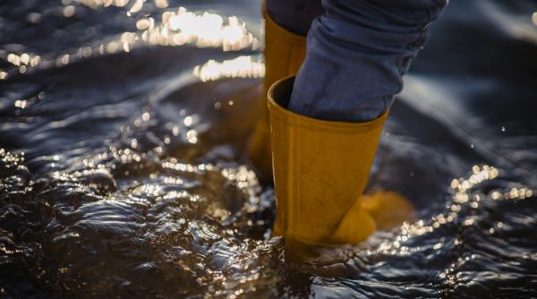 cine poarta vina pentru nenorocirea din localitatile inundate chirieac e noaptea mintii si punct