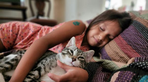 de ce sa ti lasi pisica sa urce pe pieptul tau si sa doarma acolo