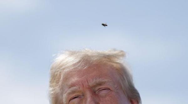 trump reactie acida dupa ce a aflat ca a mai pierdut un vot o urasc pe taylor swift