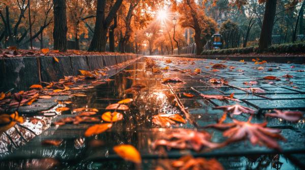 cum va fi vremea in urmatoarele patru saptamani anm prognoza meteo