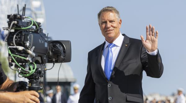 iohannis cap de lista la senat diana tache informatie pe surse despre candidatura video