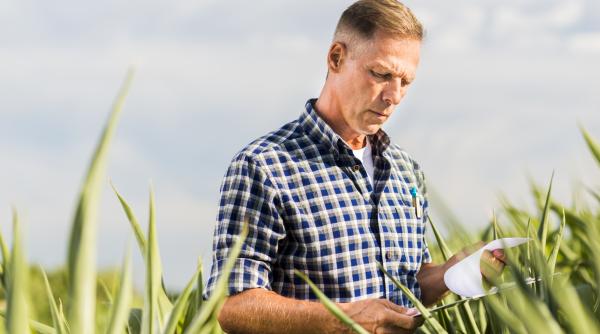 vesti pentru agricultorii afectati de seceta ce se va intampla cu ratele la banci