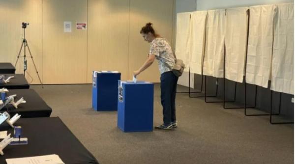 daniel oprican despre votul diasporei lipsa de incredere in partide a dus la o prezenta scazuta la urne