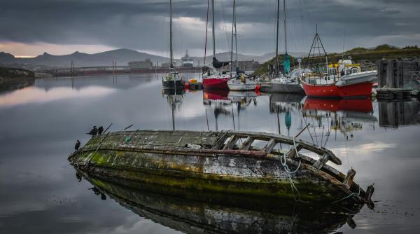 ramasite ale unei paduri tropicale preistorice descoperite sub solul insulelor falkland