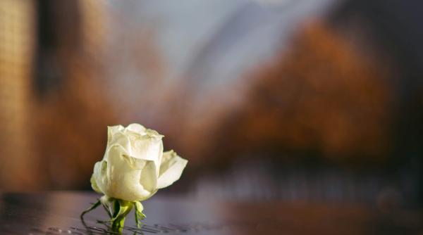 omagiu la tunis pentru arhitectul roman george sebastian ghika la 50 de ani de la moartea sa