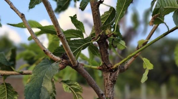 celebru consultant in turism care calatoreste in toata lumea s a mutat la sat in prahova invat cu greu sa fiu taran dar imi place tot mai mult