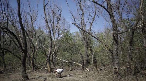 fragmente de drona ruseasca gasite intr o comuna din judetul tulcea