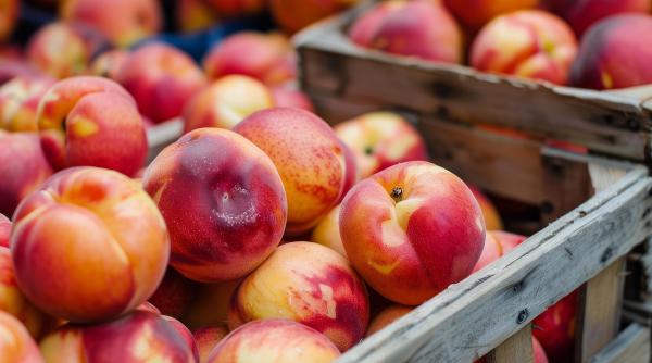 nectarine importate din turcia pline de pesticide retrase de la vanzare de anpc