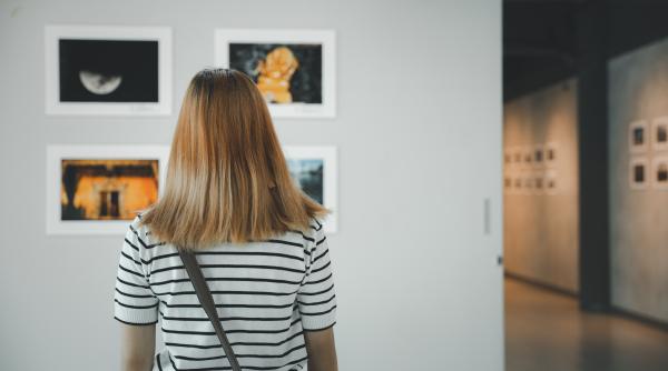 situatie bizara cu tablouri ale lui van gogh vandalizate cu mancare activistii condamnati la inchisoare video