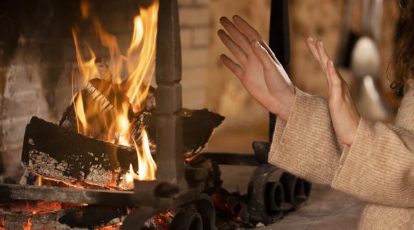 caldura din iarna aceasta ne va arde la buzunare preturile la lemne de foc au crescut
