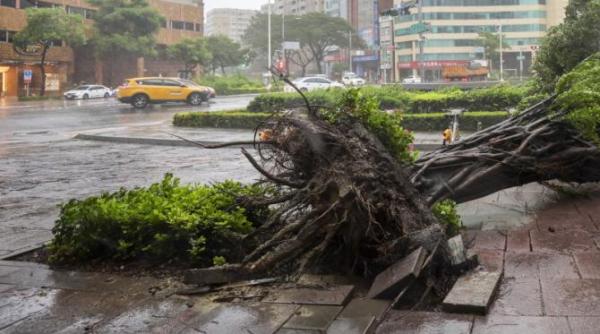 taifunul krathon a lovit mortal taiwanul peste 120 de persoane sunt ranite foto