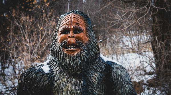 rasturnare de situatie cu barbatul care l a filmat pe bigfoot in padure ce era de fapt fiara care mirosea flori video viral