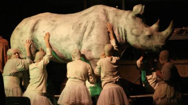 rinocerul din faust amplasat in piata amzei bucharest scenography biennale intre 18 27 octombrie 2024