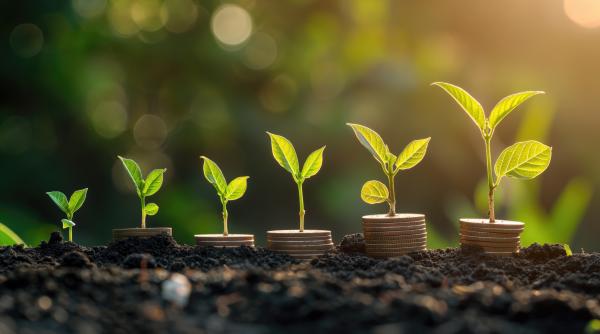 ce se intampla cu programul creditul fermierului premierul ciolacu a anuntat decizia video