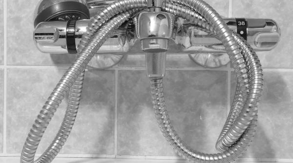 capul de dus si periuta de dinti pline de virusi care ar putea salva vieti descoperirea uluitoare a cercetatorilor