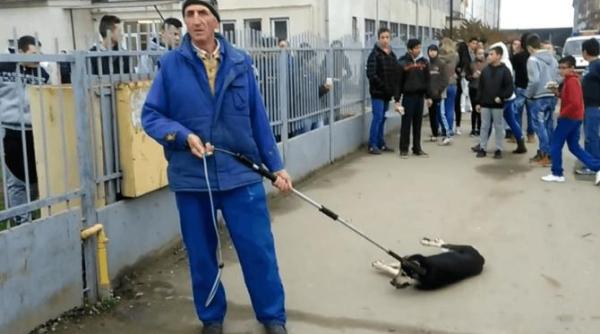 se modifica normele pentru gestionarea cainilor peste 50 000 de cetateni si 50 de organizatii au depus solicitarea tranzitei la sterilizare