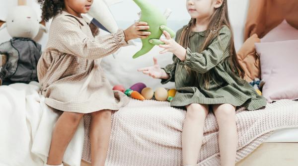 discutii despre drepturile copiilor intre mae roman si cel suedez la stockholm care sunt concluziile