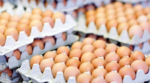 mii de oua cu salmonella retrase de la vanzare de inspectorii dvsva buzau