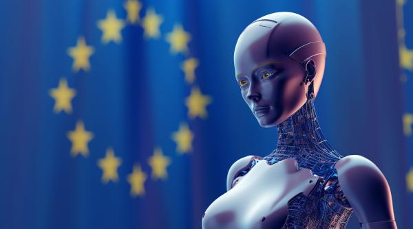 ue amana noile verificari biometrice ale calatoriilor deoarece sistemele it nu sunt functionale