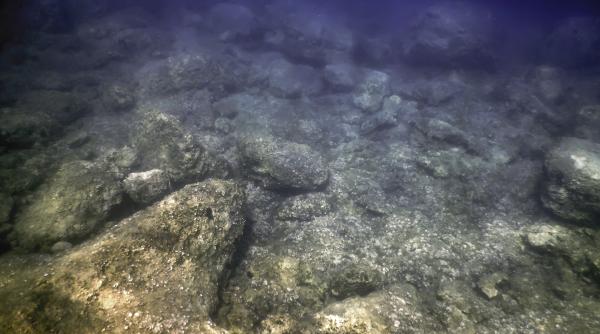 fundul oceanelor uimeste pe zi ce trece oamenii de stiinta au descoperit viermi giganti sub scoarta terestra