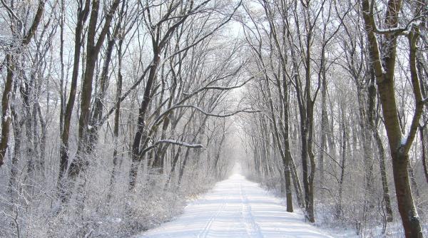 fenomenul meteo care ne ar putea aduce o iarna foarte geroasa cu multa zapada roxana bojariu episoade severe in europa