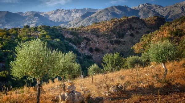 premierul greciei semnal de alarma privind combaterea migratiei ilegale din ue cine ne va culege maslinele