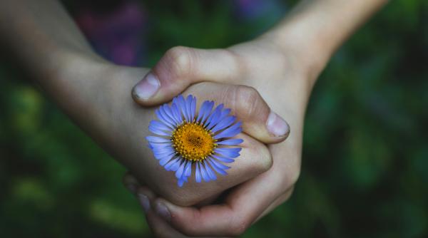dorinta de a avea copii pusa pe pauza de viitorul incert ce semnifica anxietatea climatica studiu