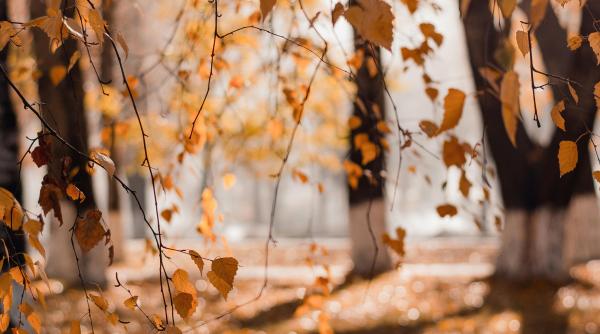 vremea pe o luna se raceste brusc apoi vin ploile surprinzator in noiembrie se incalzeste