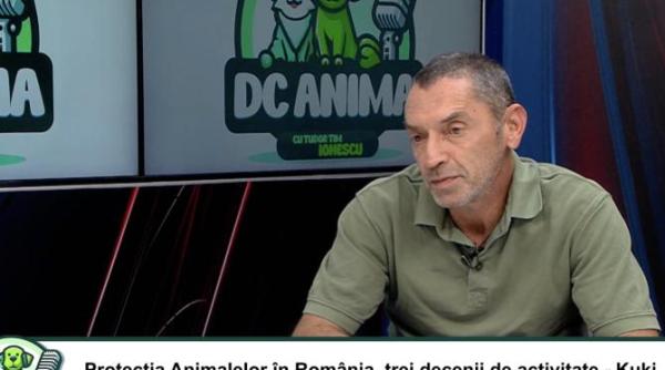 30 de ani de lupta pentru animale adevaruri incomode kuki barbuceanu