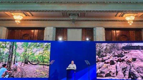 alex gavan centura verde a fost asumata public pentru prima oara ca pilon al unui program de tara video