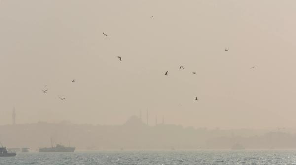 moment de sarbatoare transformat in catastrofa cel putin 7 morti dupa ce un doc s a prabusit