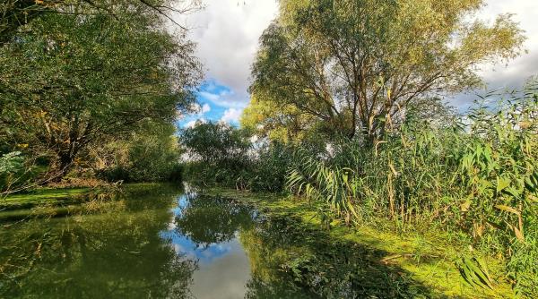 ce nu stiu romanii despre delta dunarii pasiunea pentru care turistii straini pierd notiunea timpului in delta
