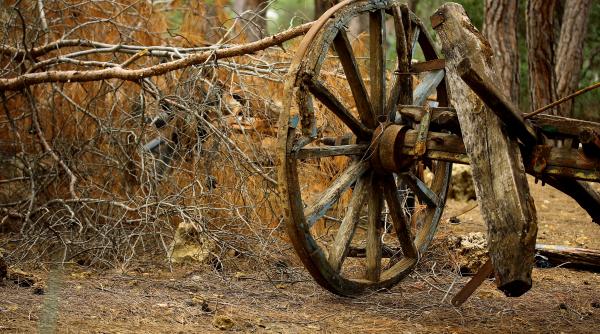 cercetatorii sustin ca roata a fost inventata de minerii din carpati in urma cu 6 000 de ani