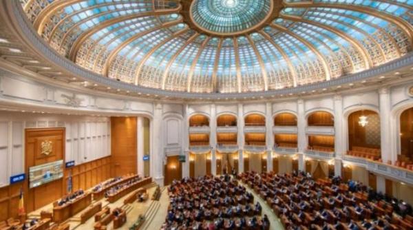 reprezentarea diasporei misiune imposibila doar sase parlamentari pentru milioane de romani din toata lumea