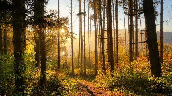 anticiclon in europa vremea se incalzeste si mai mult in tara noastra georgescu anm diferenta spectaculoasa de temperatura