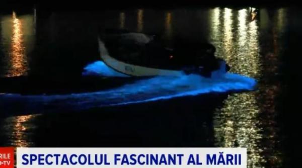 apa fosforescenta in marea neagra