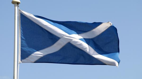 cat de usor este sa deschizi o afacere in scotia institutiile de control nu dau amenzi