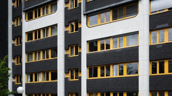 centenarul bauhaus la secret afd razboi cultural pe o tema folosita de nazisti in 1933