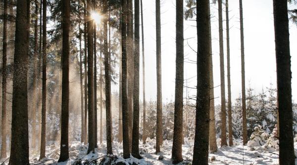 cum va fi vremea in aceasta iarna totul depinde de la nina